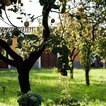 La Terra Del Mezzo Farm stay Riposto