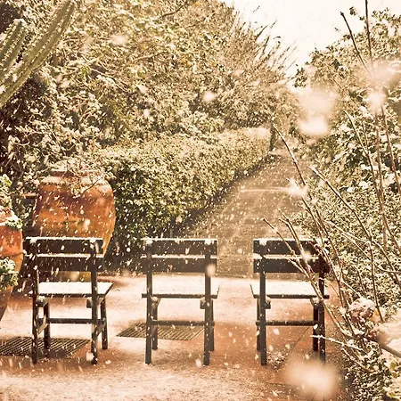 La Terra Del Mezzo Farm stay *