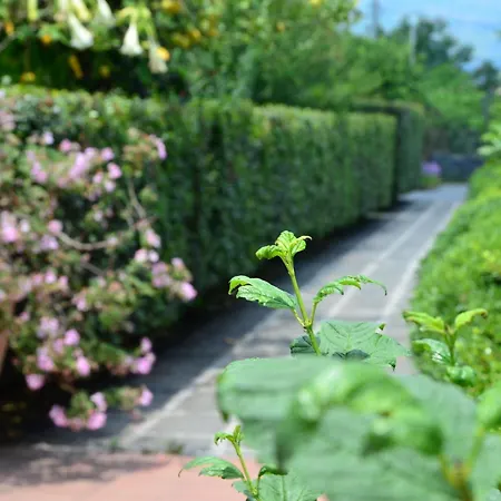 La Terra Del Mezzo Riposto