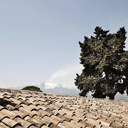 La Terra Del Mezzo * Riposto