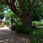 La Terra Del Mezzo Riposto