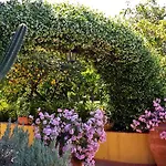 La Terra Del Mezzo *